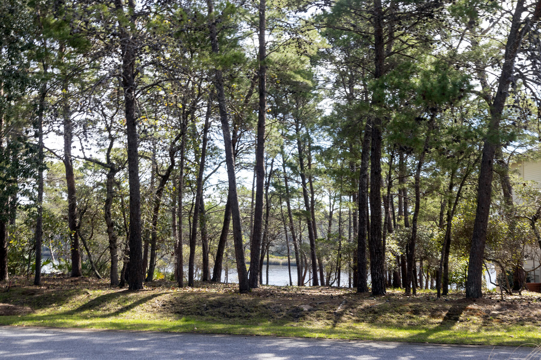 The Landing at Camp Creek - Land
