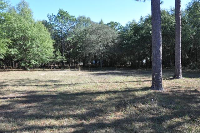 HICKORY HAMMOCK ESTATES - Residential