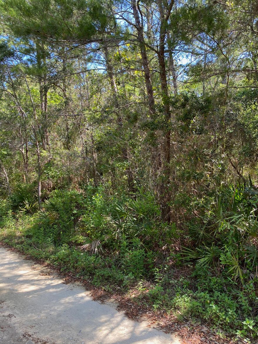 Approximately 4.73 acres. Buildable land in Flood zone X is approximately 2.4 acres.  This property does have wetlands. Building per Walton County DEP flood zone X. Verify all information. This property was part of a large tract of land being subdivided into 2 parcels. See other listings Lot B MLS 831960