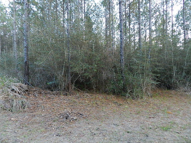 Ten Mile Rd and Dewey Jernigan - Land