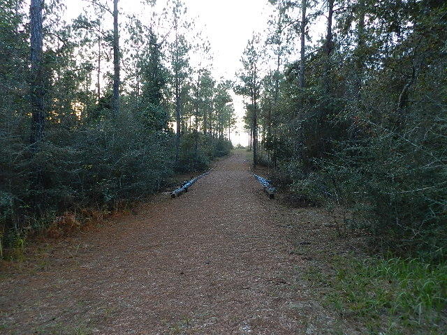 Ten Mile Rd and Dewey Jernigan - Land