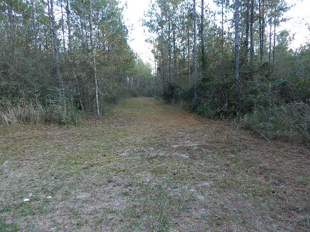 Ten Mile Rd and Dewey Jernigan - Land