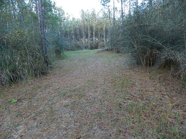 Ten Mile Rd and Dewey Jernigan - Land