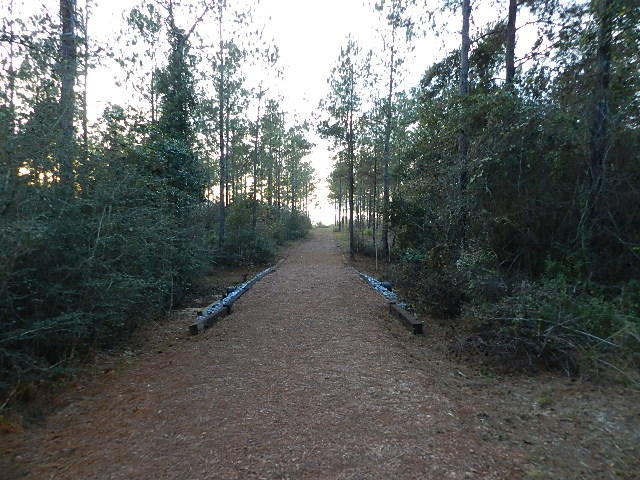 Ten Mile Rd and Dewey Jernigan - Land