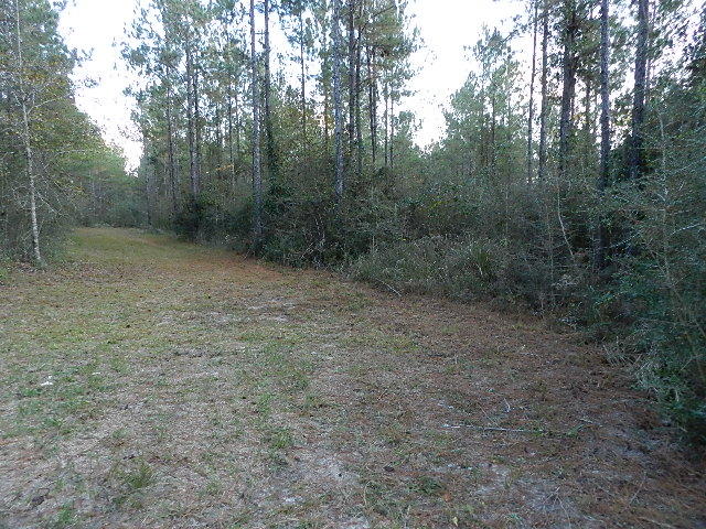 Ten Mile Rd and Dewey Jernigan - Land