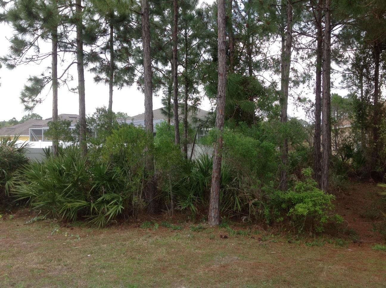 PALMETTO TRACE - Residential