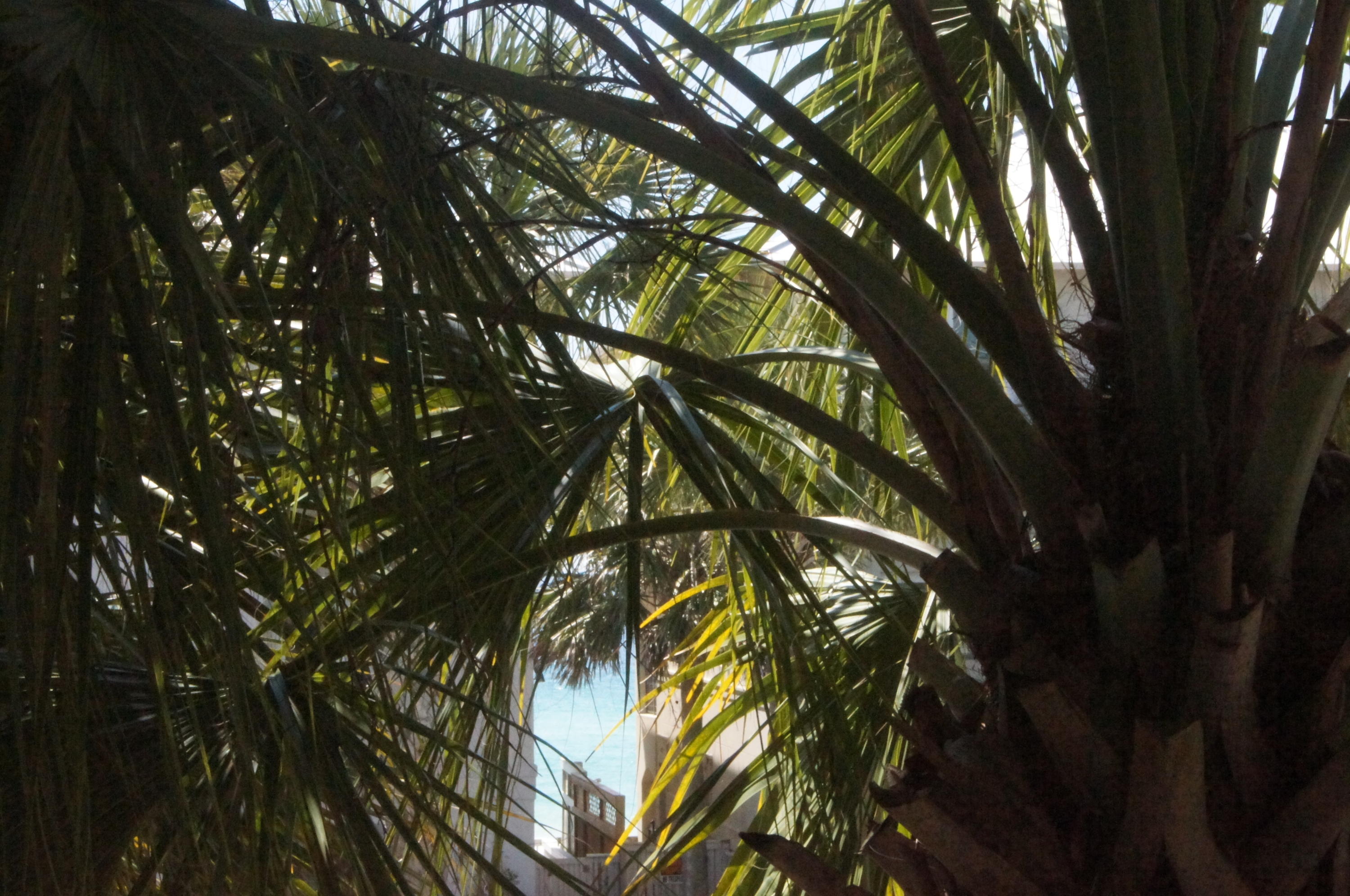 FRANGISTA BEACH 1ST ADDN - Residential