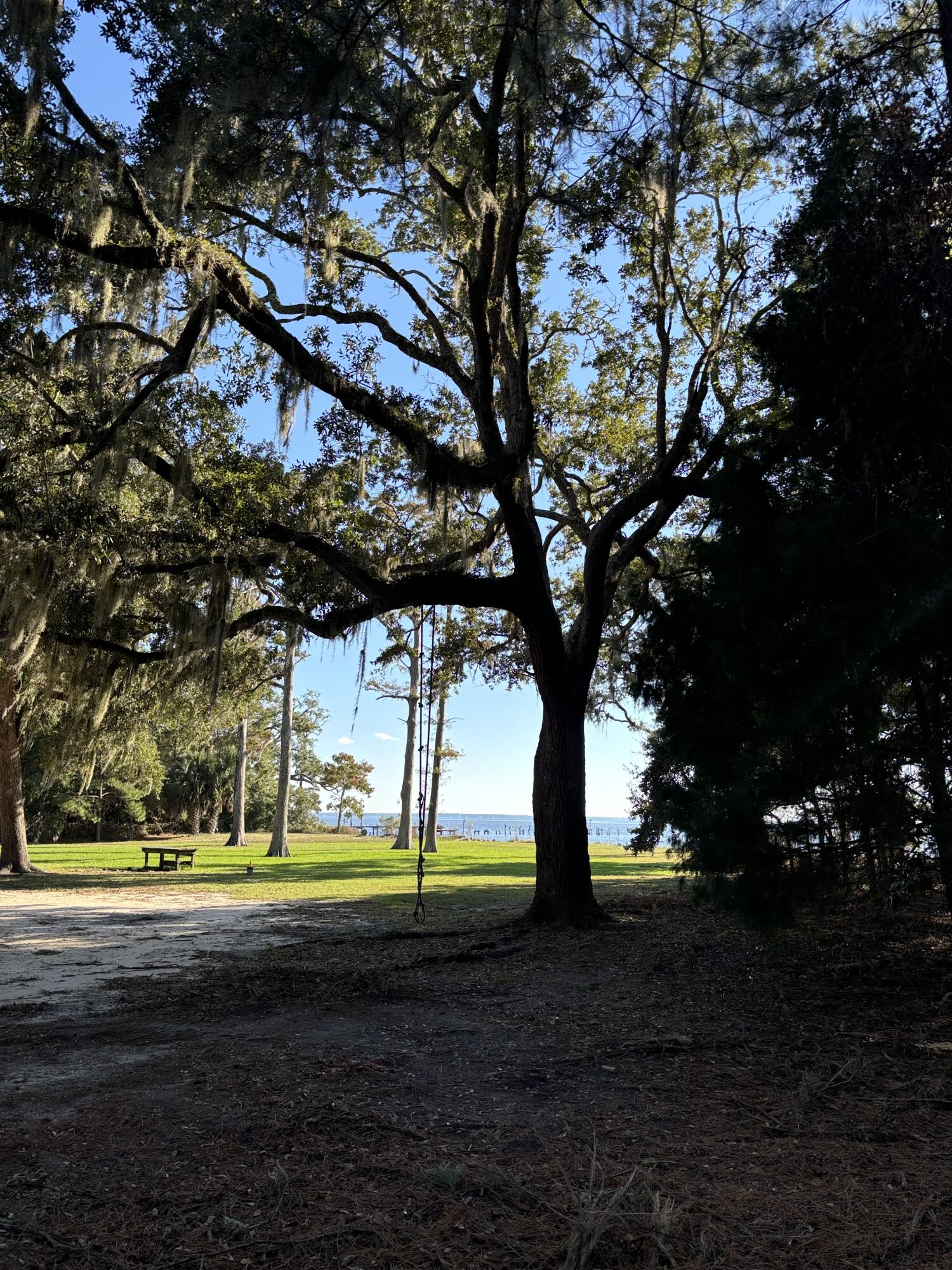Basin Bayou - Land