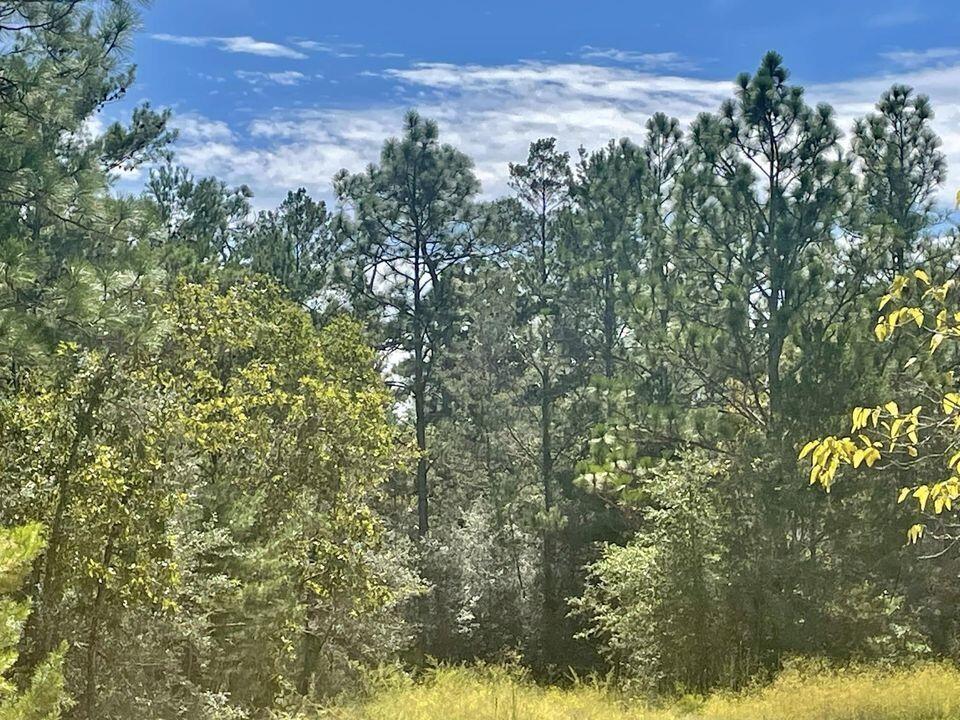 OAKWOOD HILLS UNIT 3 - Land