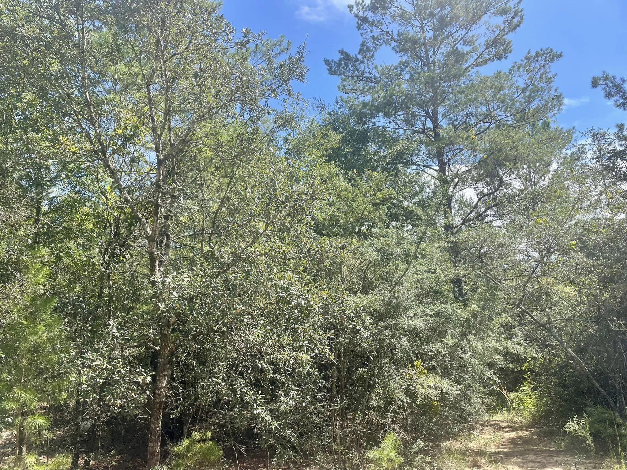 OAKWOOD HILLS UNIT 3 - Land