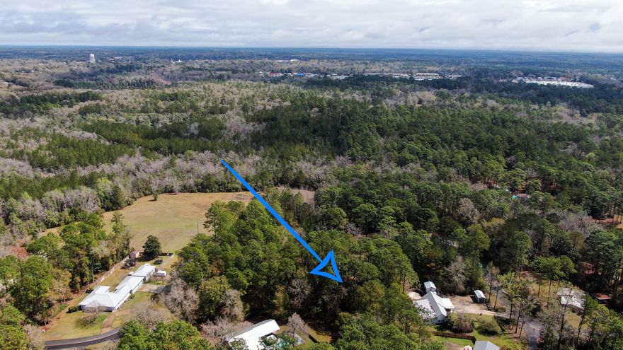 Back on market - buyer changed their minds and not moving to FL. Maybe it's your time to capitalize on this opportunity. Beautiful wooded lot in Country Manor Estates next to the Teelinville subdivision. If you've been looking to build in a great neighborhood without an HOA, look no further. Located 1 mile from Walmart, 2 miles to I-10, and appx 30 minutes to the the white sand beautiful beaches!