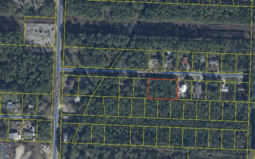 Huge lot 0.62 of an acre! Build your new home just a 1.5 miles from the Cessna Landing Boat Ramp and 2 miles from the beach. This 200 x 134 lot is ideal for an investment property or primary home. Could easily be spilt into 2 lots. No build out time and no HOA. Located less than 10 minutes to the beaches of 30a as well as many restaurants, shopping and grocery stores. Many new homes being constructed in the area.Seller has no knowledge of property. Lot has wetlands, but is still buildable. Buyer must perform their own due diligence.