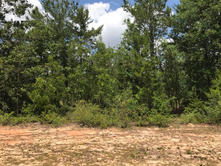 PRICED TO SELL!!! 1.25 acres. Wooded lot. Conveniently located near Highway 285 and I-10. Great lot for your mobile home or build your dream home. Don't let this awesome deal slip away!