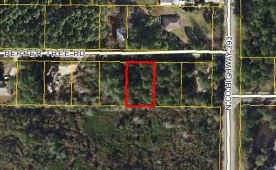 This wooded lot off of Peppertree Lane is 2 miles from the beach. This parcel is secluded with light trees and foliage featuring easy access that will make for an excellent home site.