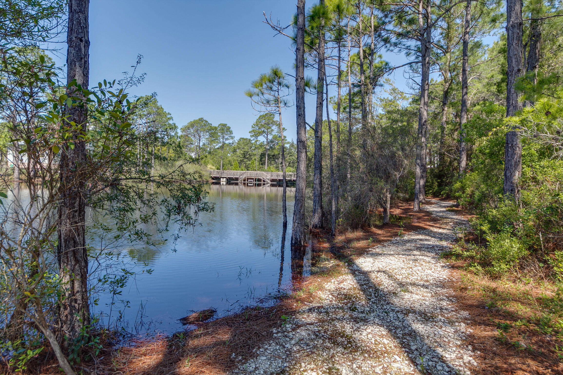 FOREST LAKES - Residential