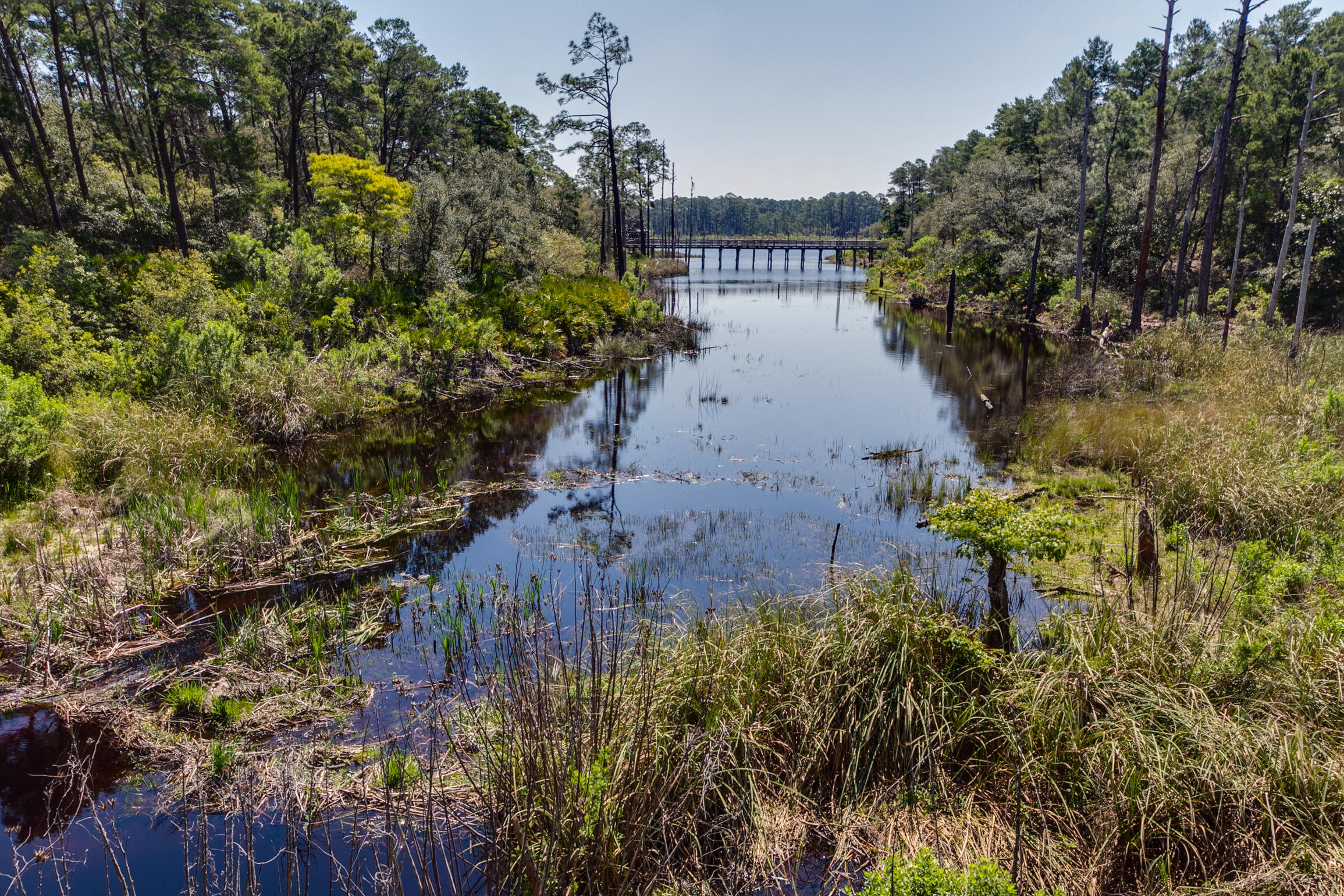 FOREST LAKES - Residential