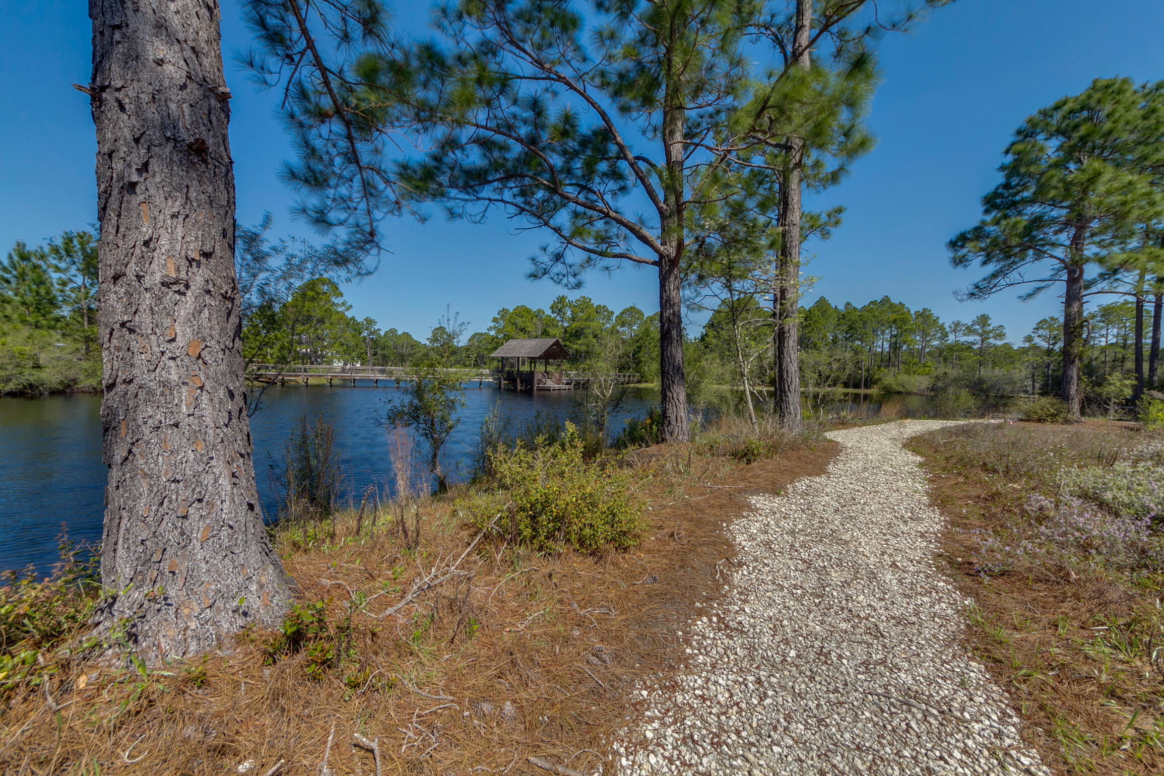 FOREST LAKES - Residential