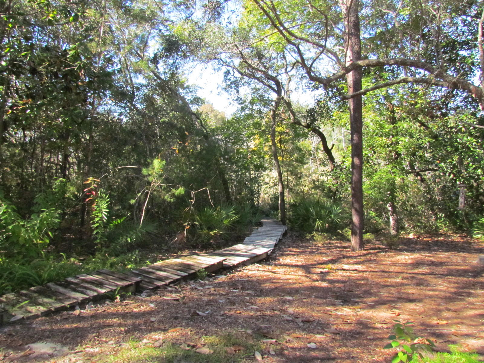 WHITE POINT AC - Residential Lease