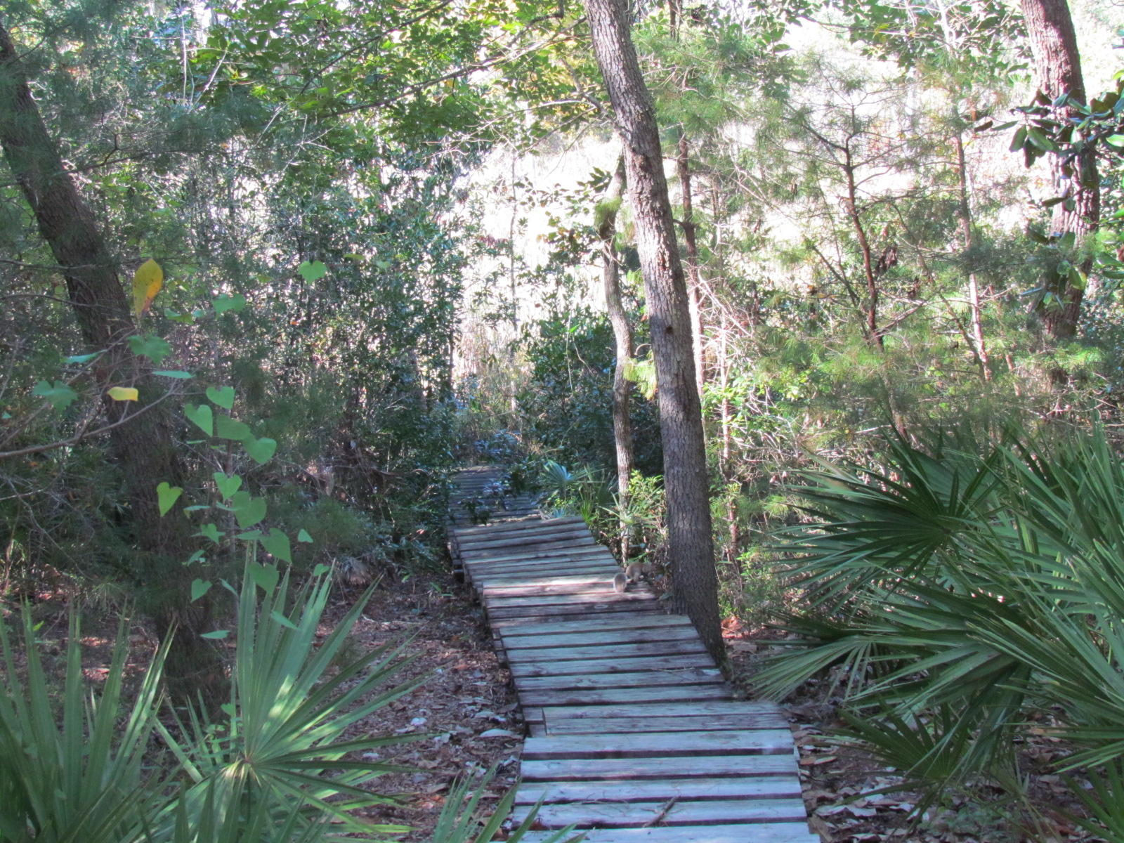 WHITE POINT AC - Residential Lease