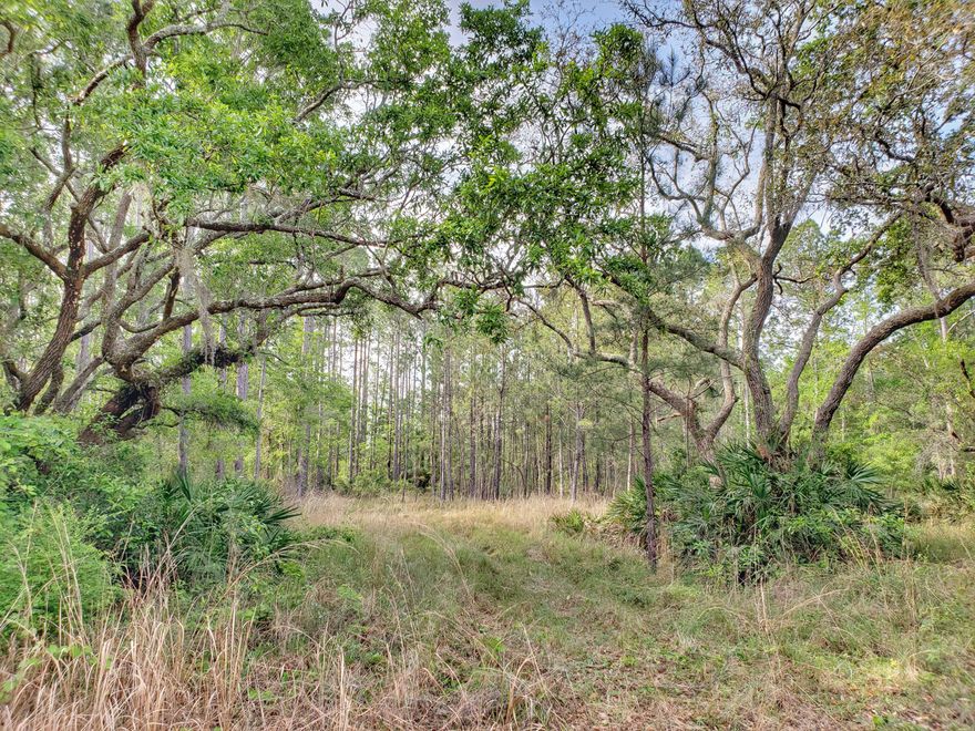 Located only 1.2 miles off of Hwy 331, just south of the new Publix shopping plaza, this home site feels far removed from the busy life. Neighborhood restrictions to help protect property values. Across street from lot is the HOA common area for Bayou Bend S/D, which has a little trail to Lagrange Bayou. Only 15 properties in the self-managed HOA. Please ask agent for copy of neighborhood plat to have a better understanding of the property.