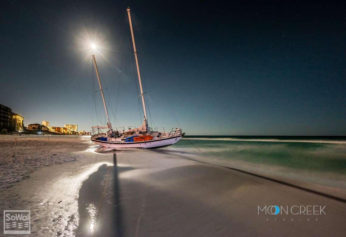 Hammock Bay - Firefly - Residential