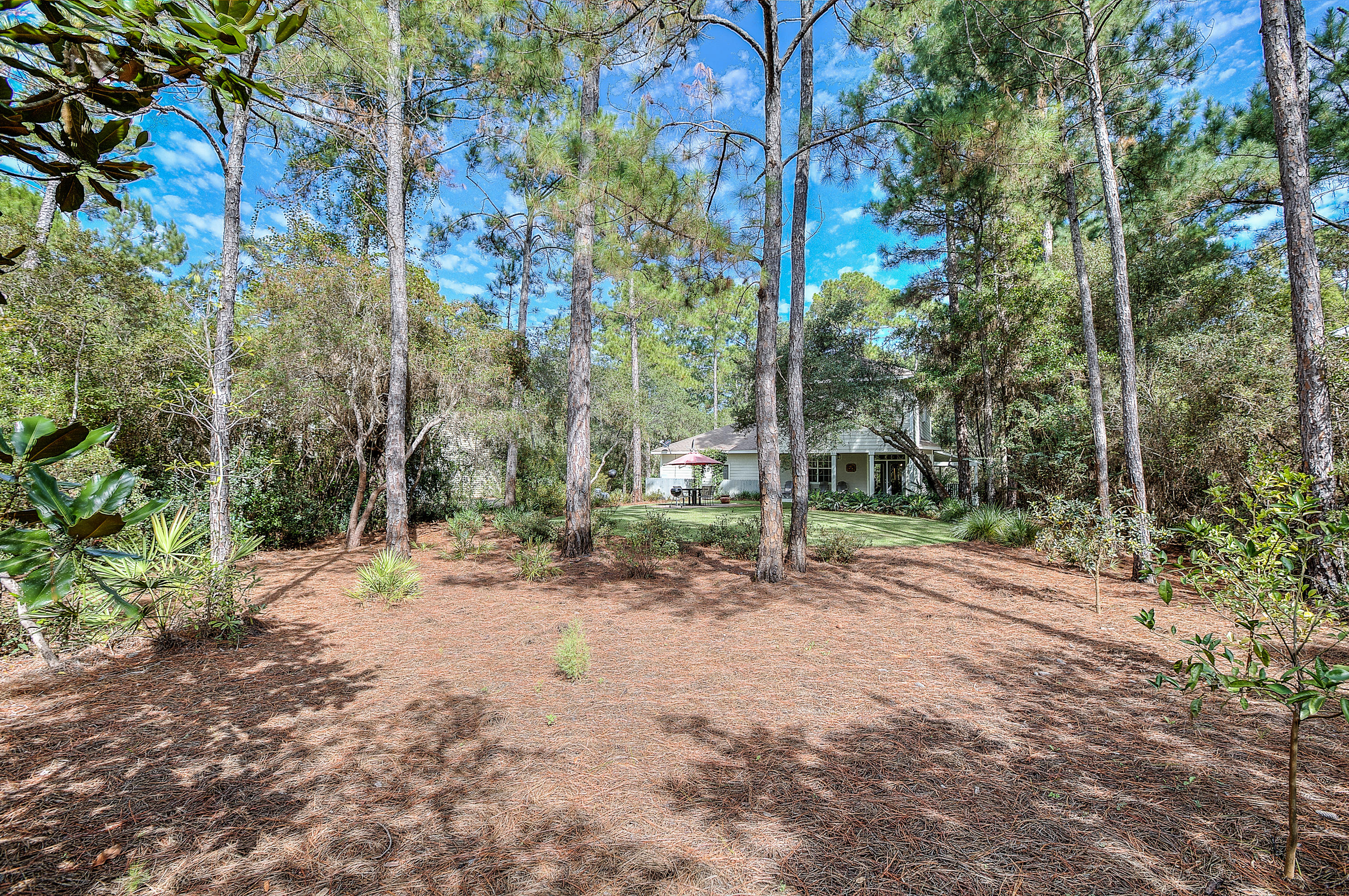 THE SHALLOWS - Residential Lease