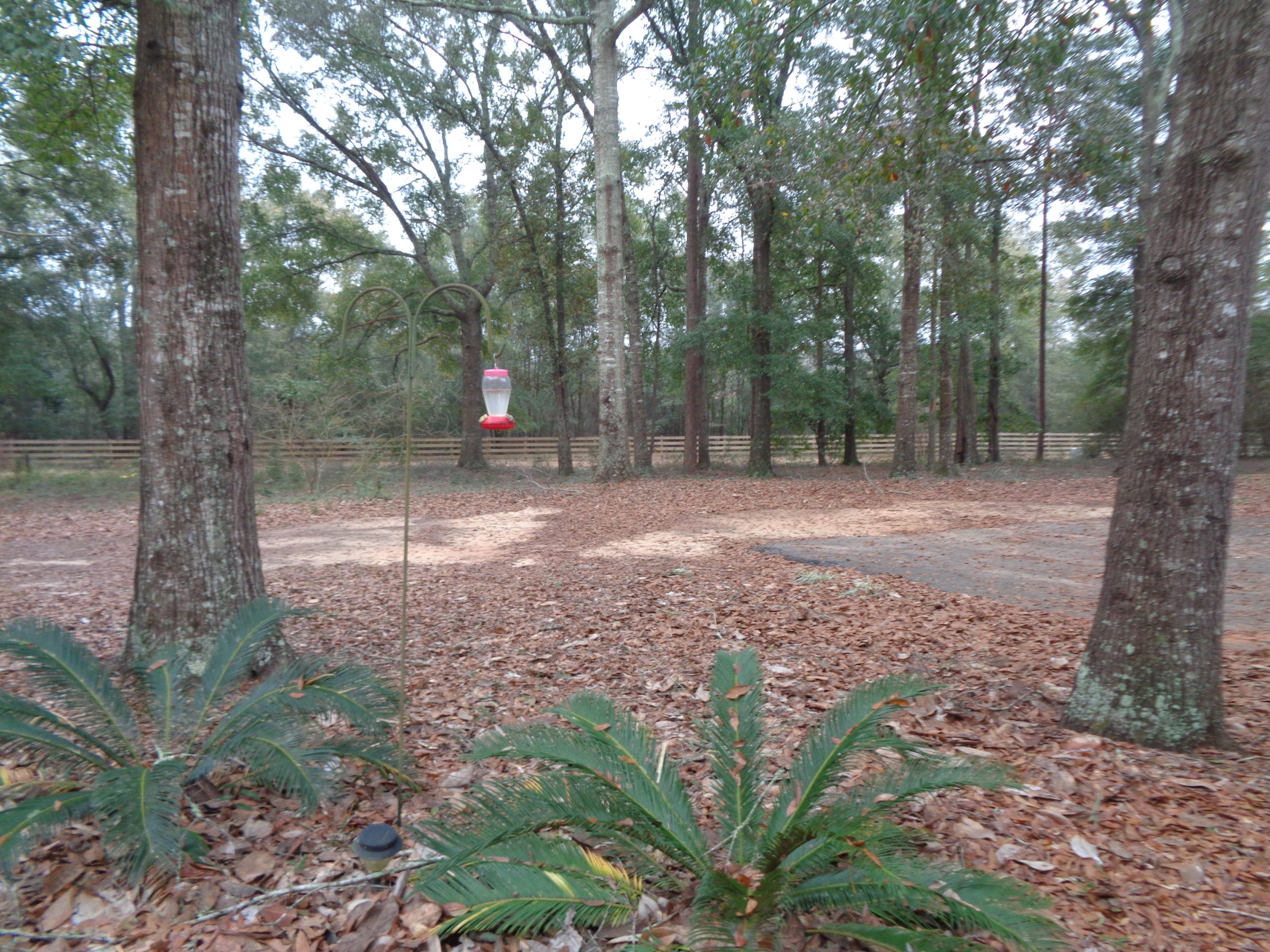 LAKE LUCILLE - Residential