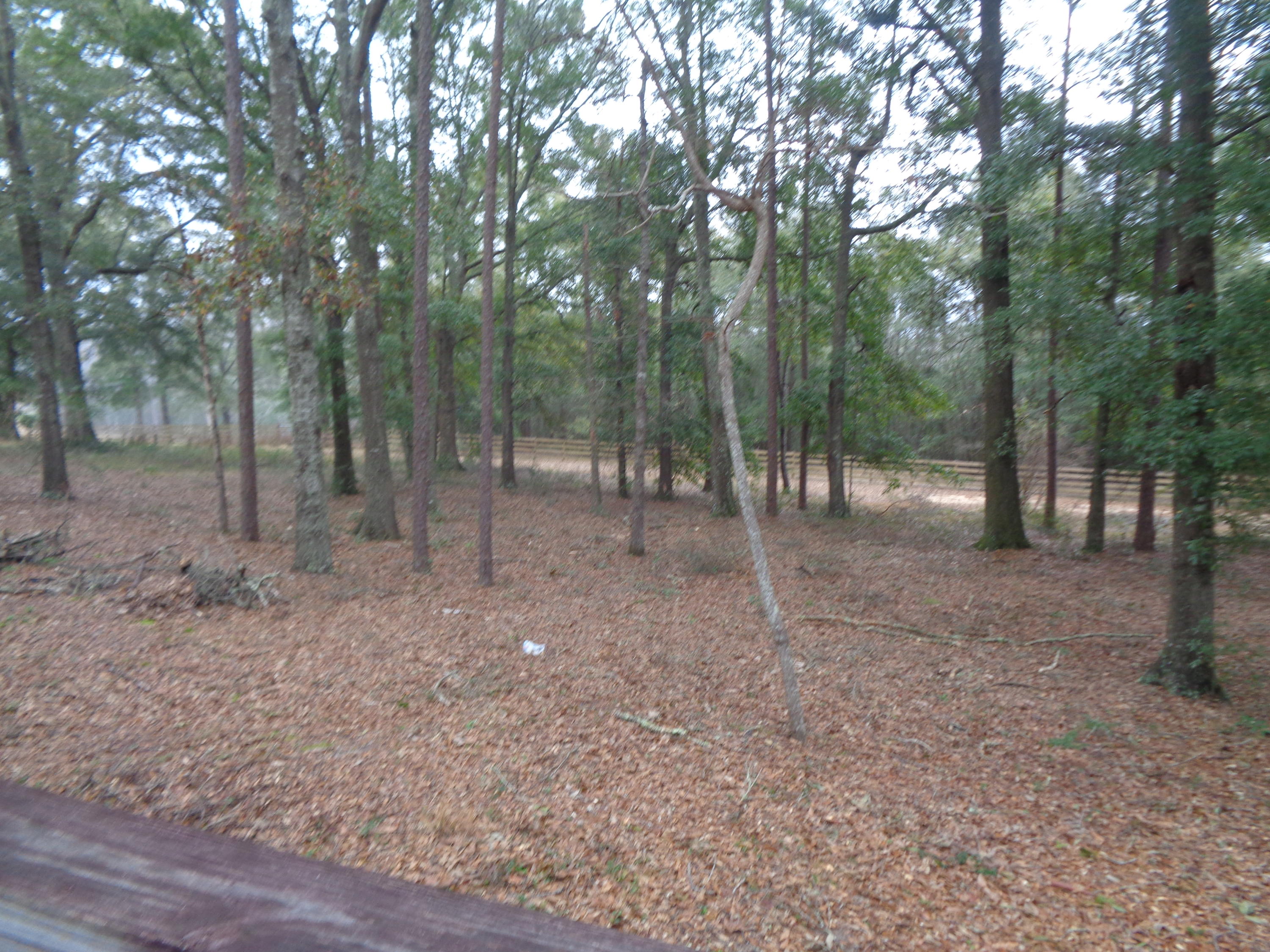 LAKE LUCILLE - Residential