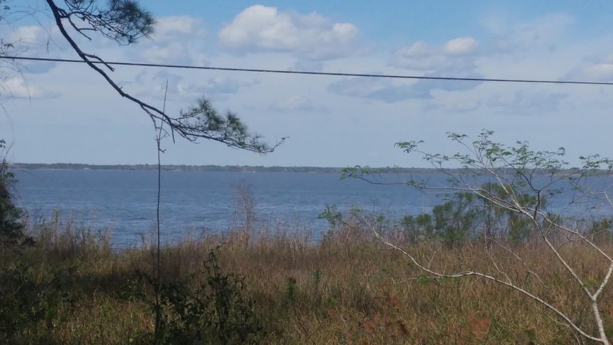 Beautiful corner lot across the street from the bay.Bay access right next to the lot for paddle boarding etc. Environmental study just done indicates lot is ALL UPLAND. Lot runs from street to street from Quiet Water Trail to Daisy. Build facing the bay with the garage behind the house . County has allowed carriage house garage on similar lots but buyer should verify . No HOA no build out time .Adjoining lot is also available.Magnolia Beach is north of Grayton Beach and Watercolor . Owner willing to accept lower sales price for purchase of lots 39 and 40 sold together.