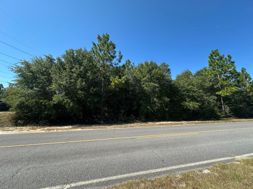 Looking for the perfect spot to build your dream home? This 4.3-acre parcel on Long Road offers the best of both worlds - peaceful country living with easy access to DeFuniak Springs,Crestview, and Niceville.You'll love the community feel here, with a mix of rural farming and established home sites. Whether you're planning a custom single-family home or placing a mobile home, this property provides the flexibility you need to make your vision a reality. Come see it for yourself.  This could be the perfect place to put down roots!