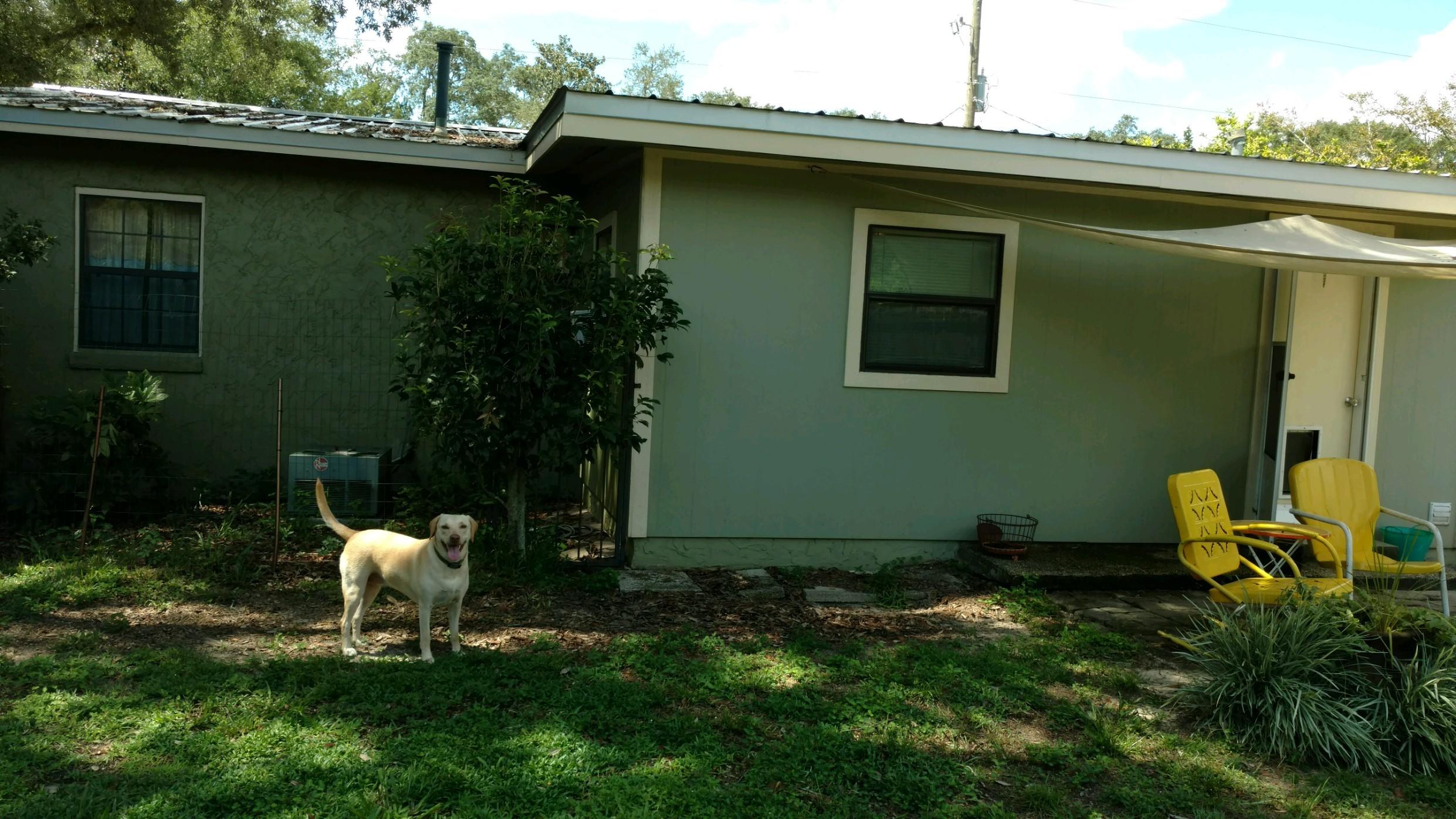 MEIGS S/D - Residential