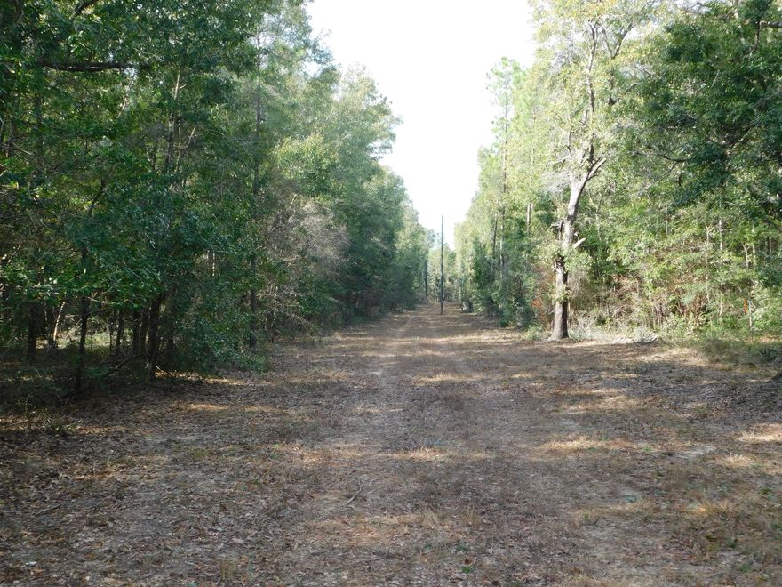 1.5 Acres in the country! Bring your horses, cows, pigs, and chickens! Bring your home plans and build your dream home in the country! Or use the property for hunting! Come listen to the birds chirp, watch the deer and turkey, or ride your 4 wheeler!