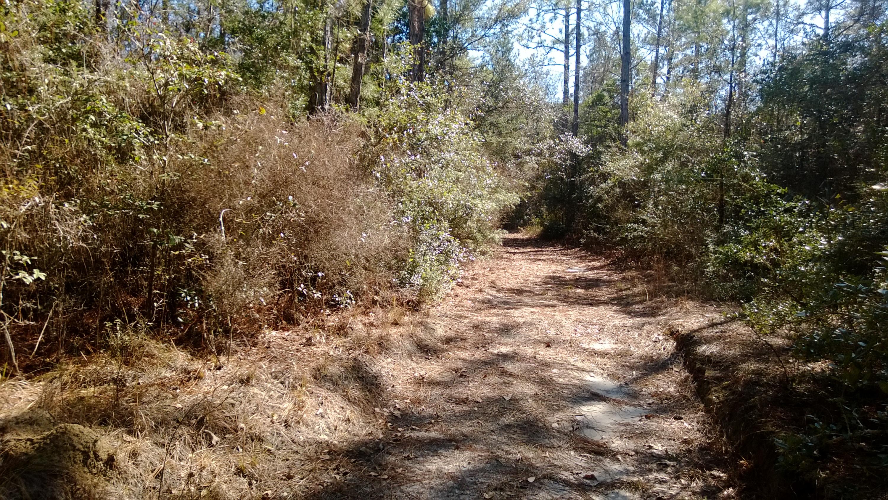 UNRECORDED SUBDIVISION - Land