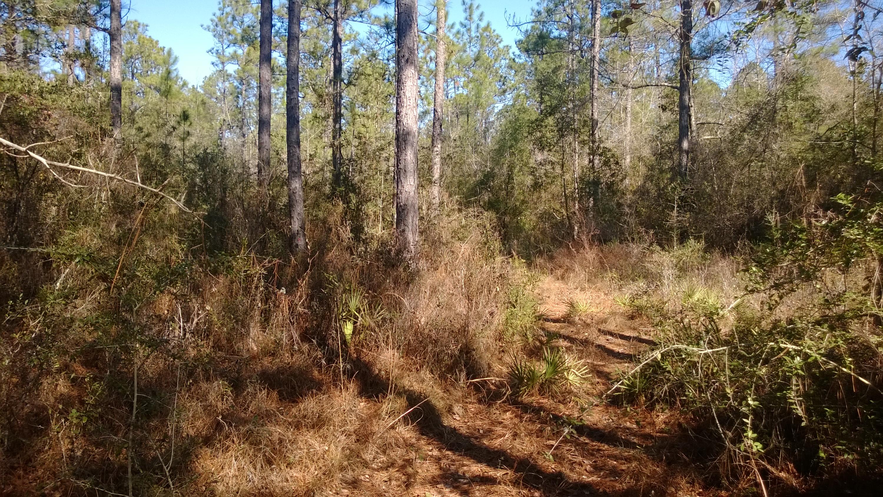 UNRECORDED SUBDIVISION - Land