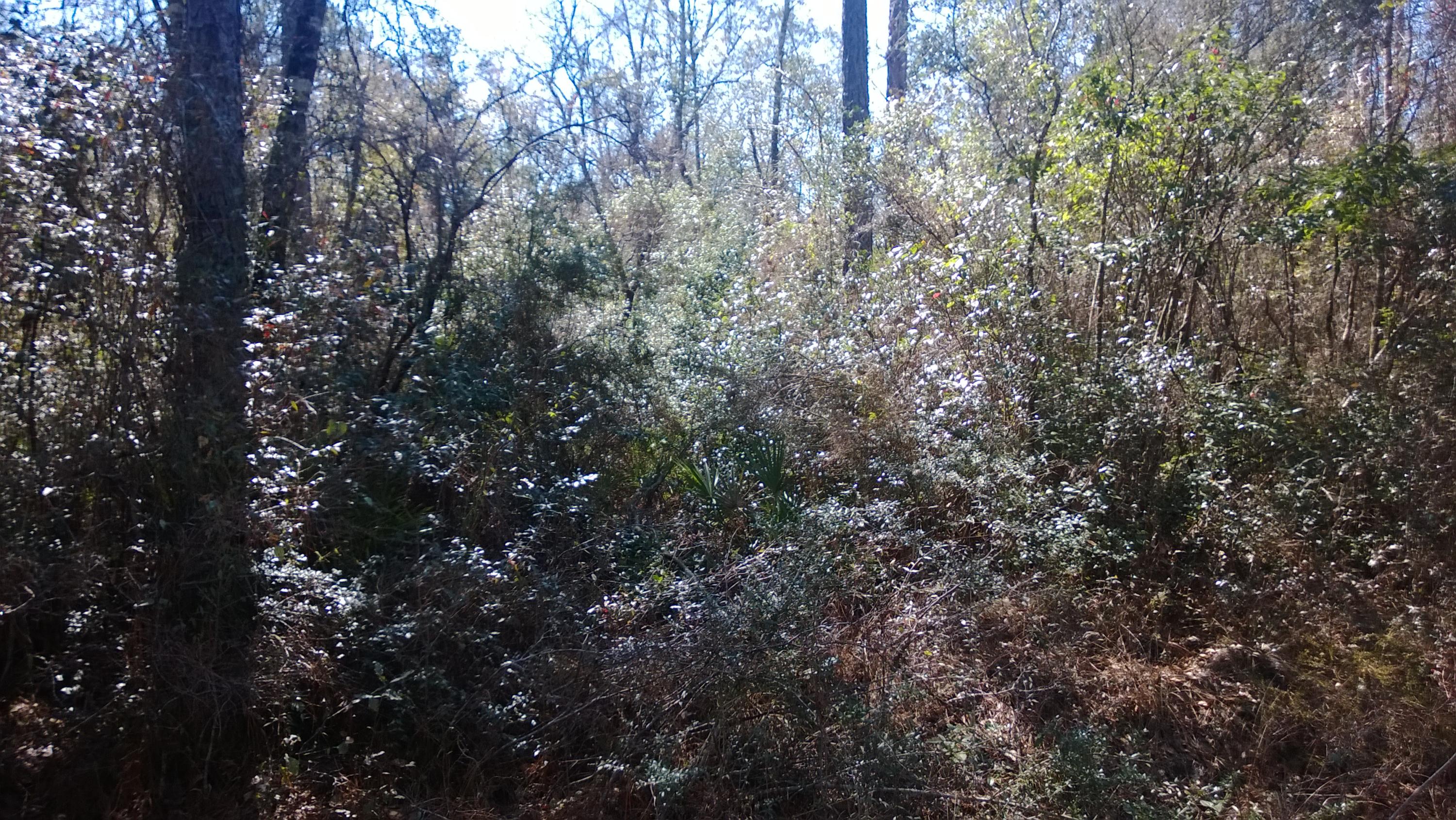 UNRECORDED SUBDIVISION - Land