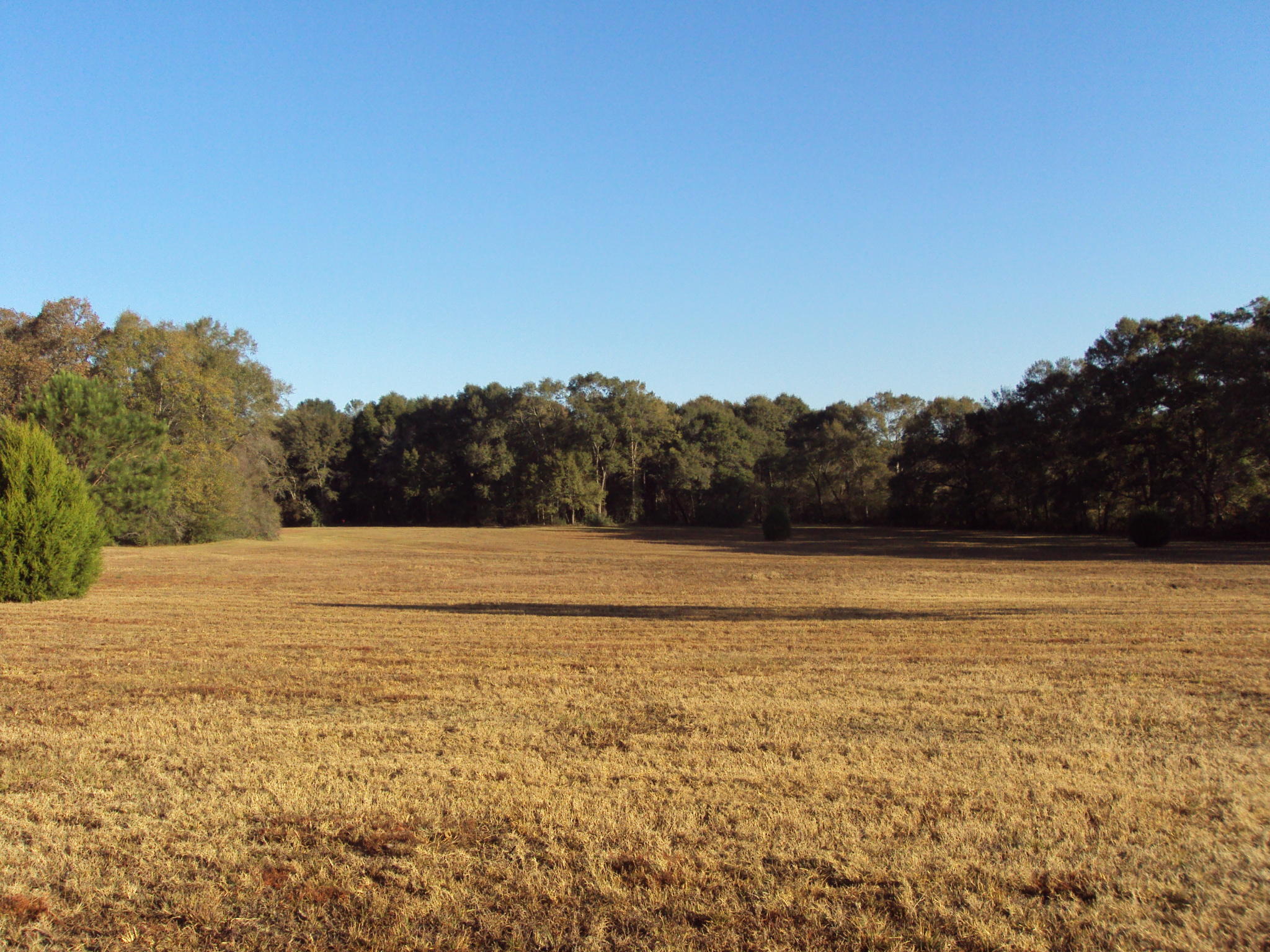 Property is a Beautiful 13 Acres with approx ten acres in Pasture and three Acres in Woods with Deer and turkey for viewingBeautiful Home site with Septic, Water and Power already on the Property. The MobileHome will be removed as there are covenants against. Property is perfect for Horses or Livestock of any Kind. Excellent Soil for Gardening. Fronting on a paved Road With good access to the surrounding area