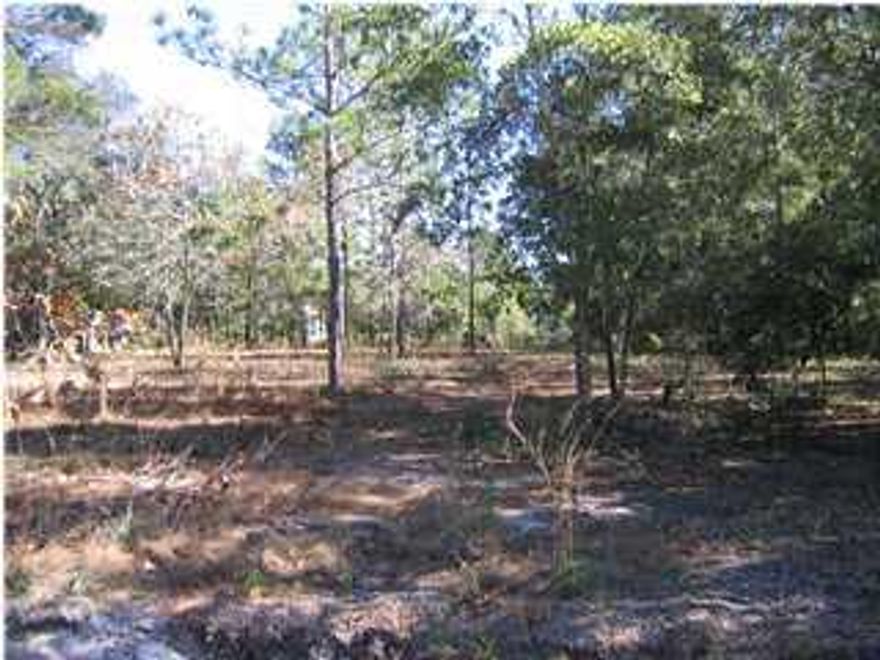 Beautiful Canal front lot with 45 feet of water frontage. Mature trees and very elevated lot. Very close to Choctawhatchee Bay. Public water and sewer available and this lot is located on a paved road with excellent access to Grayton Beach straight South on Hwy 283. Grayton Beach is only five to ten minutes away by car. Enjoy this secluded location with nice homes away from the traffic and noise of 30A.