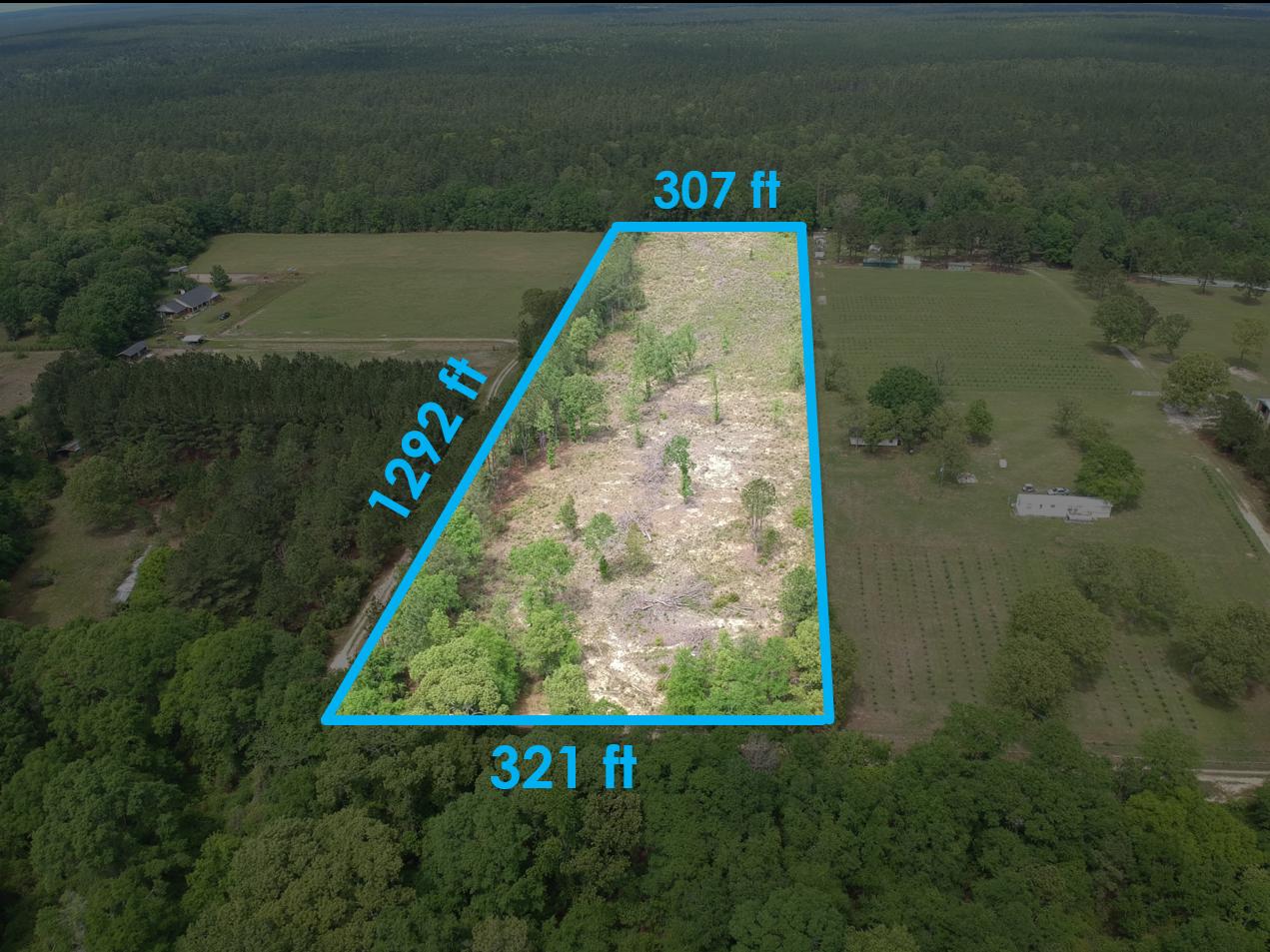 Your PERFECT home site awaits! 9 acres with the clearing started for you. This property backs up to Blackwater State Forest, minutes away from fishing/hiking/hunting at Karick Lake.