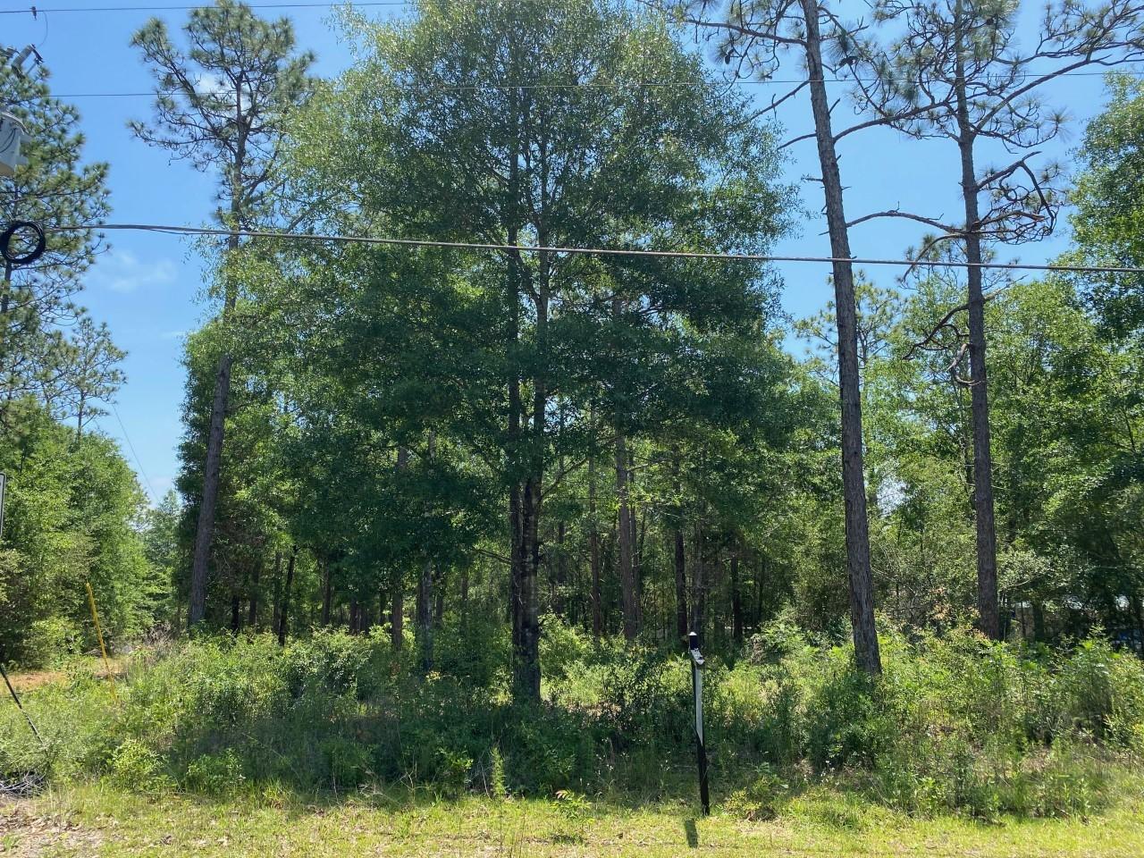 KING LAKE ESTATES - Land