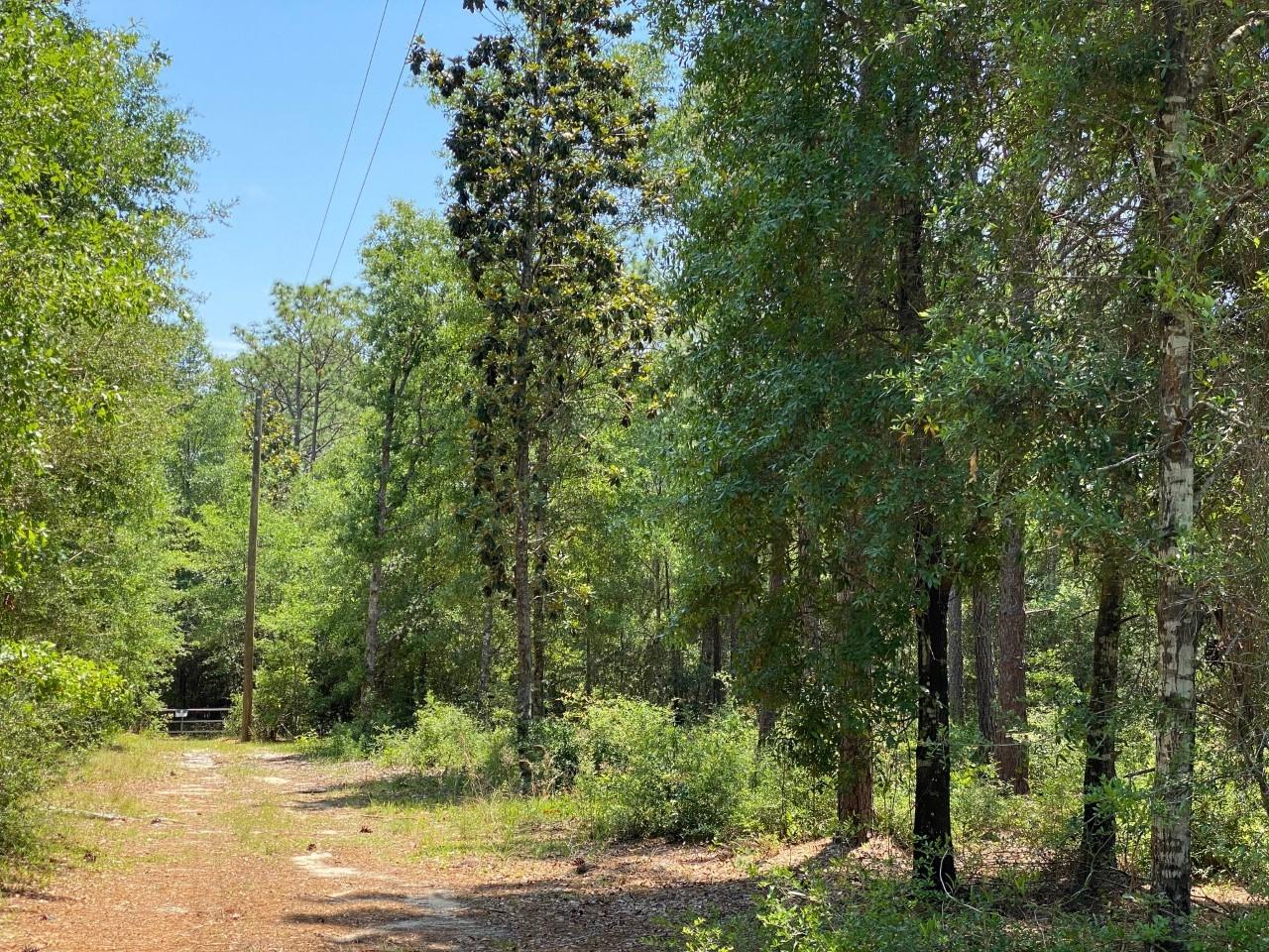 KING LAKE ESTATES - Land