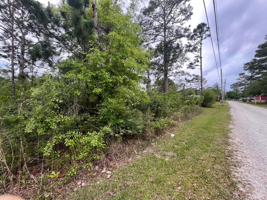 Great lot to build your new home! Only minutes to the gulf beaches, parks, lakes and about 20 minutes to Destin.