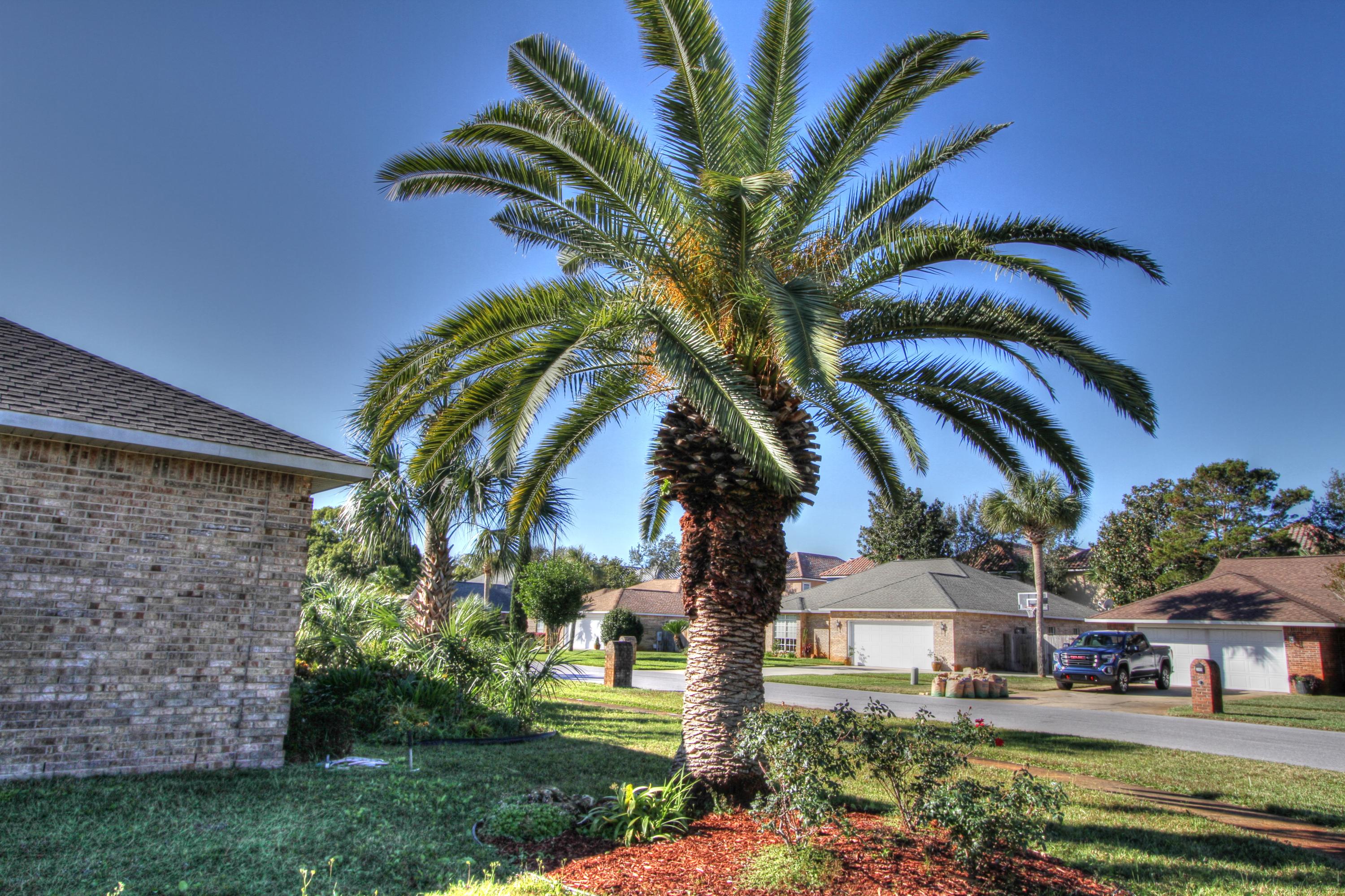 EMERALD BREEZE ESTATES - Residential