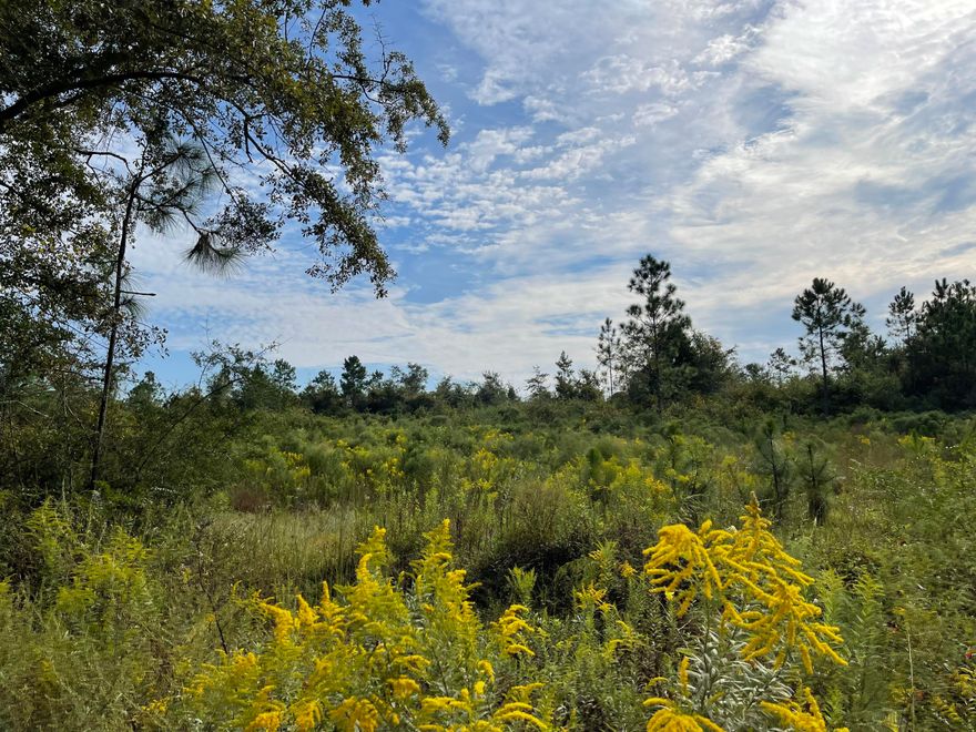 12+/- Ac of land here in Baker, Bring your Build plans and enjoy the peaceful country living. Grab your fishing poles and camping gear because this is Adjoins the Blackwater River State Forest . Zoned Agricultural and Institutional. Acreage to be determined by survey offers to be per-acre price. Acreage does not include row crops.