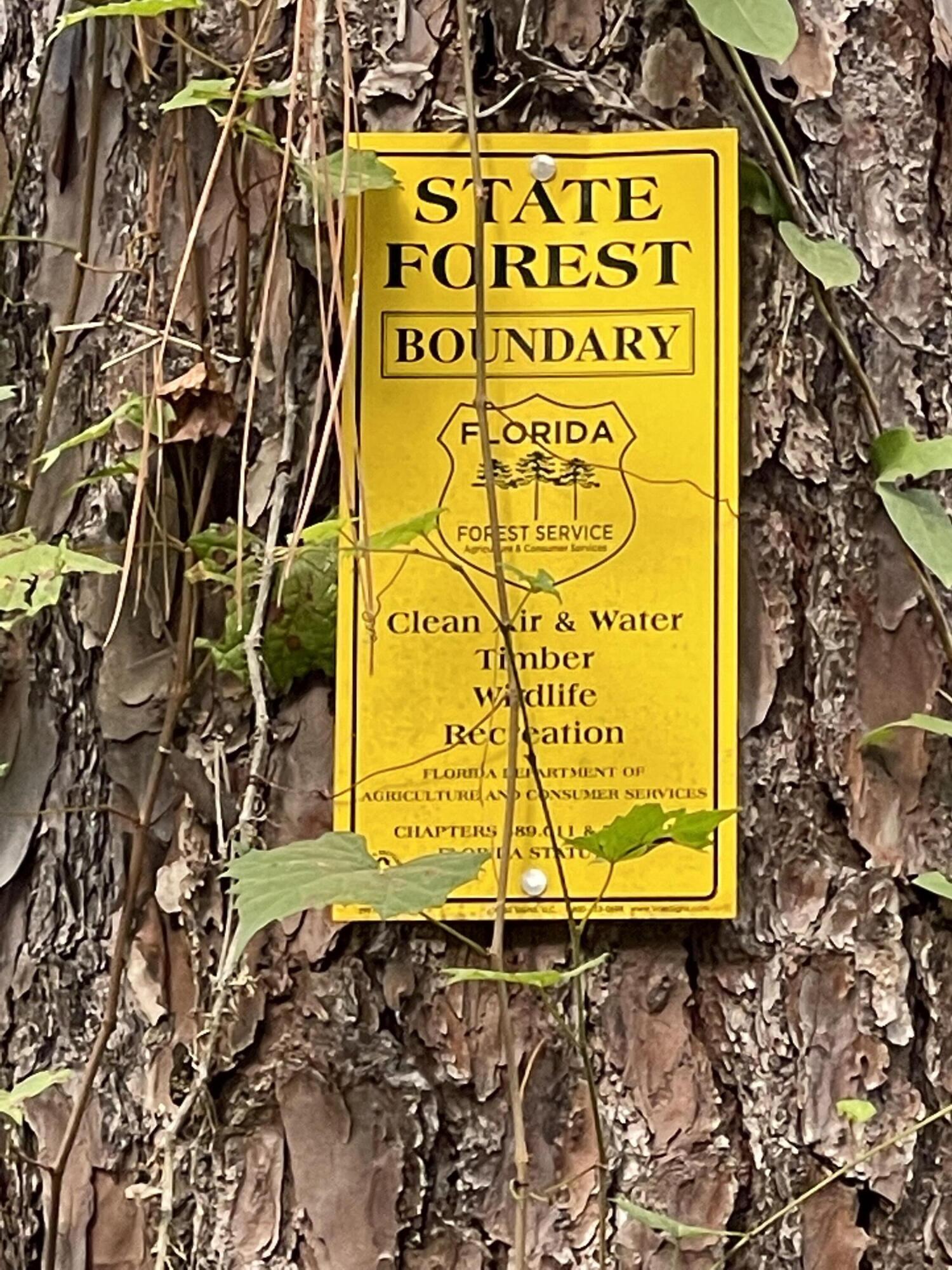 METES & BOUNDS - Land