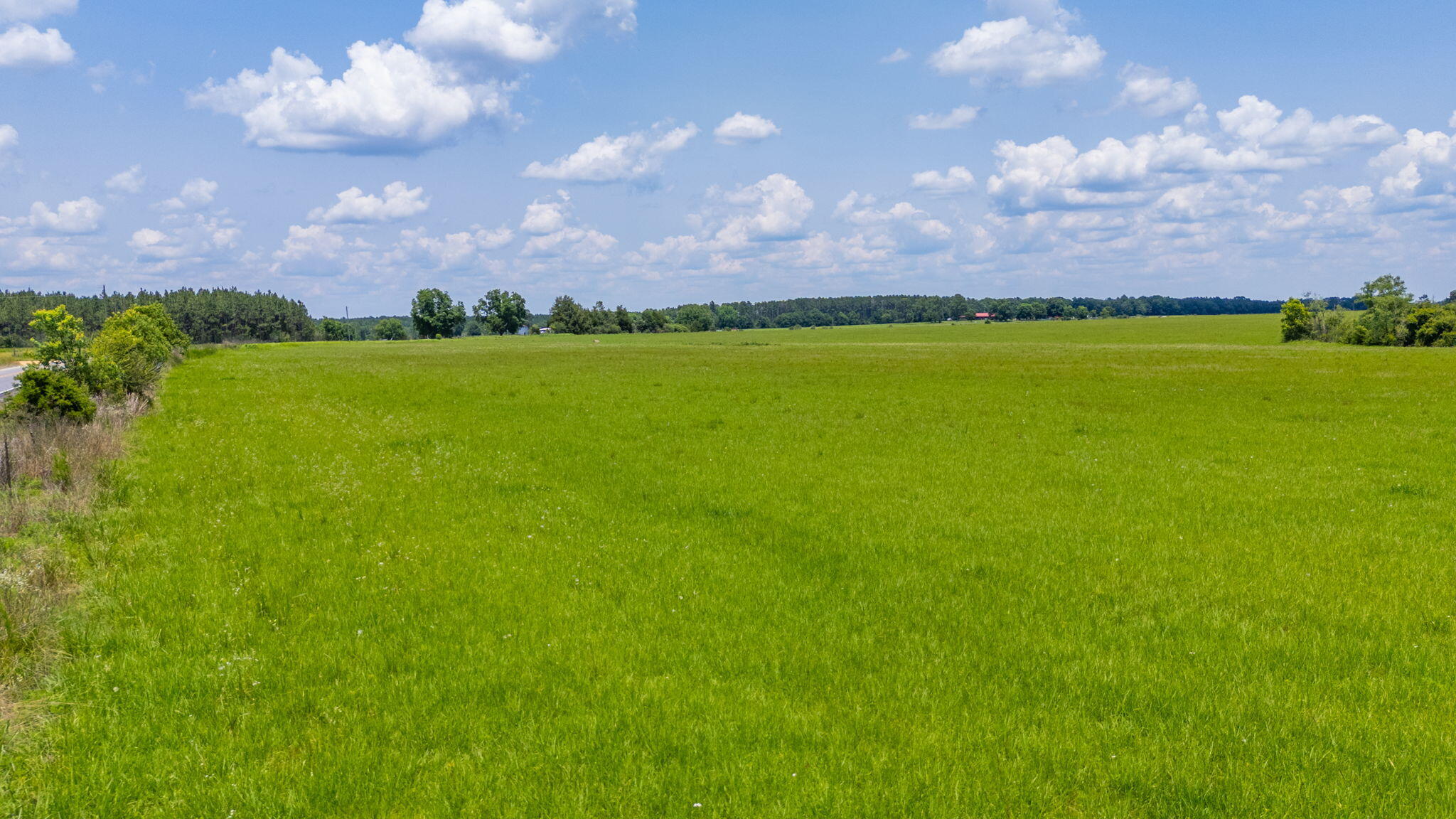 46.22 Acres of lush pasture, partly fenced and ready for you. Property is General Agriculture. Roads are newly paved and maintained by the County. Electricity runs along the road frontage but is not on the property. Small watering hole is on the property for cattle. Land is located in the North End of Walton County in the Paxton School District (an A School) and just a few miles from the School, recreation ball fields, parks and Beautiful lake Jackson for all water sports. Property is in Zone X - no wetlands.