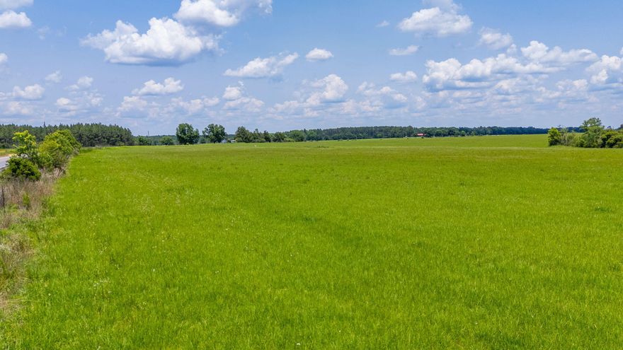 46.22 Acres of lush pasture, partly fenced and ready for you. Property is General Agriculture. Roads are newly paved and maintained by the County. Electricity runs along the road frontage but is not on the property. Small watering hole is on the property for cattle. Land is located in the North End of Walton County in the Paxton School District (an A School) and just a few miles from the School, recreation ball fields, parks and Beautiful lake Jackson for all water sports. Property is in Zone X - no wetlands.