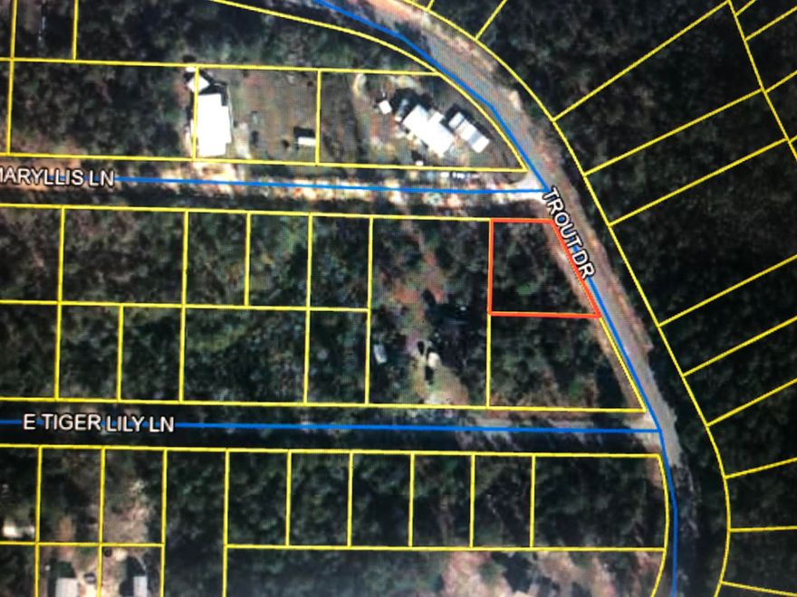 Large .29 acre buildable lot on a paved road. Power and water available but a septic system may be required. Short 14 miles drive to Defuniak Springs and 25 miles to Crestview. Buyer is responsible for all due diligence at Buyer's expense including but not limited to boundaries, topography, zoning, wetlands, & lot size as well as any building restrictions that may apply.