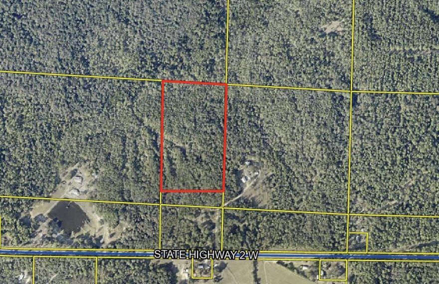 Discover the perfect opportunity to own 17.3 acres of untouched land in North DeFuniak Springs. This heavily wooded property offers complete privacy and seclusion, surrounded by mature trees and natural landscape. Whether you're looking to build a private homesite, establish a recreational getaway, or invest in land for the future, this property provides the space and tranquility to make it your own. Enjoy the peaceful setting of rural Walton County while still being within driving distance of DeFuniak Springs, shopping, and amenities. With no clearing currently done, the property offers a blank canvas to create your ideal retreat.