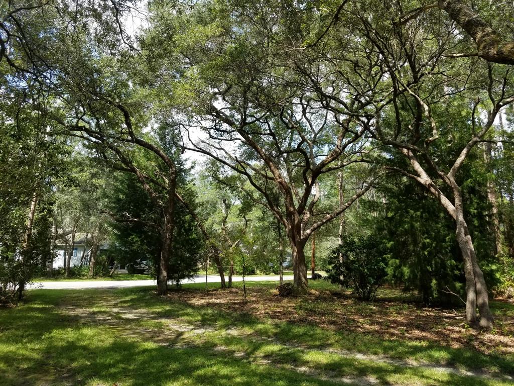 FOREST SHORES MALLETT UNREC - Residential