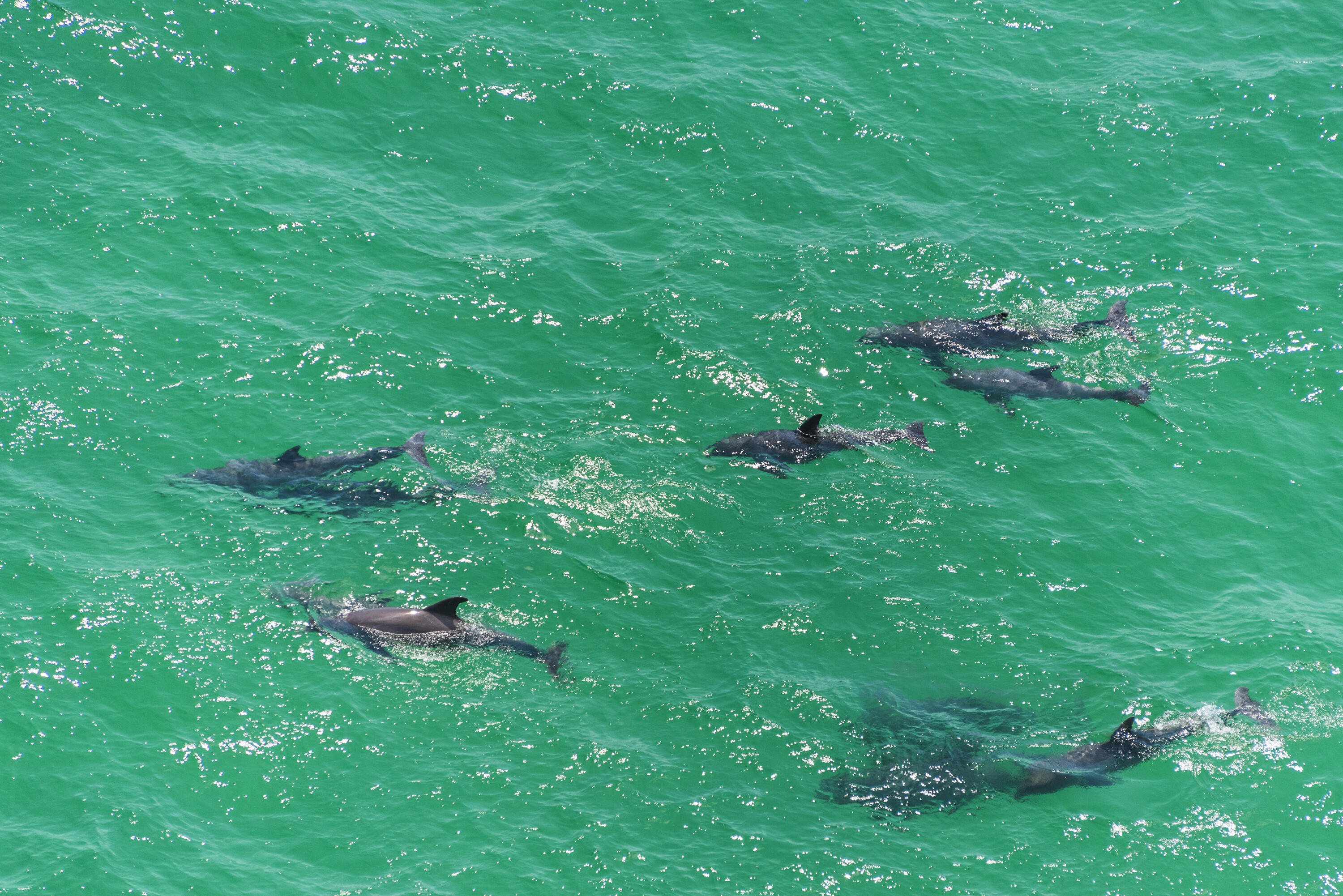 BAYSIDE VILLAS CONDO - Residential